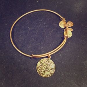 Alex and Ani bracelet